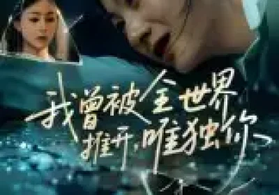 我曾被全世界推开唯独你（65集）谢炎风海报