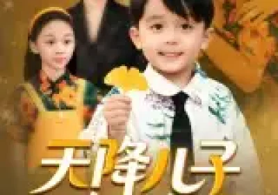 天降儿子是乌鸦嘴（40集）郑继多海报