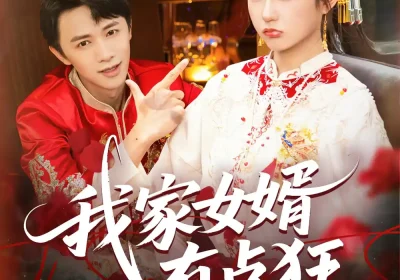 我家女婿有点狂（80集）王悦洋&陈外海报