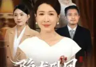 隐龙卧凤（72集）杨晓彤&郑天阳海报