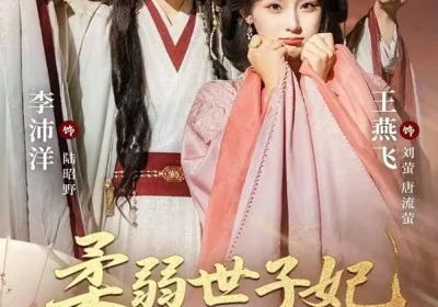 柔弱世子妃掀翻全京城（70集）李沛洋＆王燕飞海报