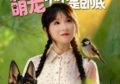 七零辣妻不好惹萌宠个个是卧底(96集)王云菲&姜铭怀海报