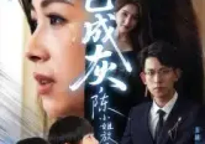 爱已成灰,陈小姐放手不再回头(30集)胡宏林海报