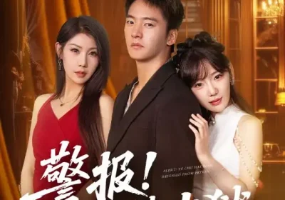 警报!叶楚出狱(80集)朱新辉&常文景海报