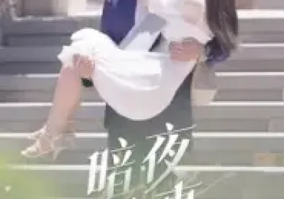 暗夜情事（100集）李豪&朱梦怡海报