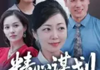 精心谋划20年（33集）端木艺晨海报