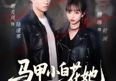马甲小白花她超会白切黑（80集）杨琳&谢炎风海报