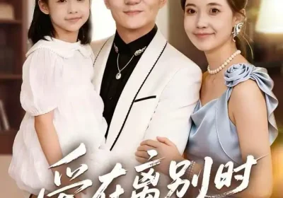 爱在离别时相遇（60集）刘琪&朱元政&桂羽灿海报