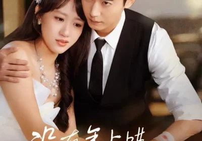 没有年上哄海报