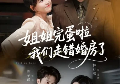 姐姐完蛋啦我们走错婚房了（97集）夏宁骏＆胡雪艺海报