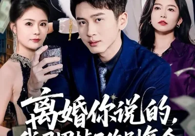 离婚你说的，我马甲掉了你别复合（80集）陈彦霖＆孙梦涵海报