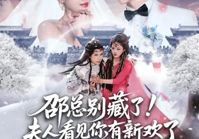 邵总别藏了！夫人看见你有新欢了（70集）张旭＆尹昕海报