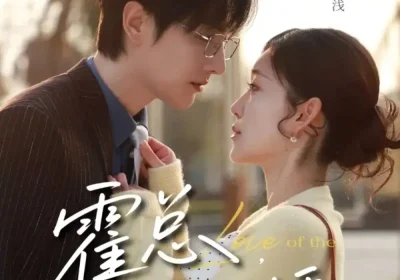 霍总，闪个婚（86集）仵浩瑄&林潇海报