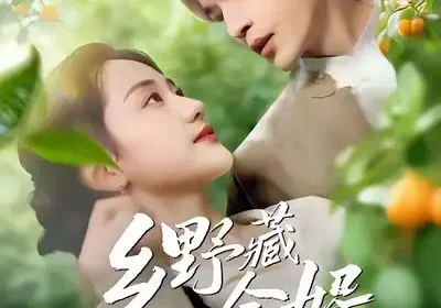 乡野藏金婿（50集）冯琳玲＆吴杰海报