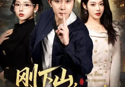 刚下山捡个总裁做老婆（80集）杨皓竣&胡继月&李奕璇海报