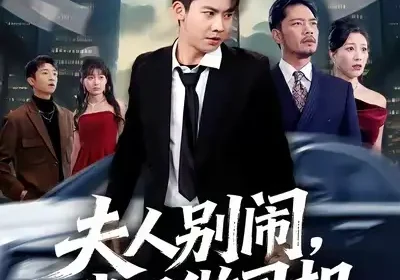 夫人别闹我只做司机（80集）直贝贝&刘相奇海报