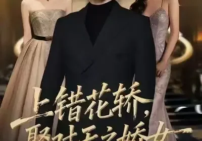 上错花轿，娶对天之娇女（66集）龙泽鸣＆董炜海报