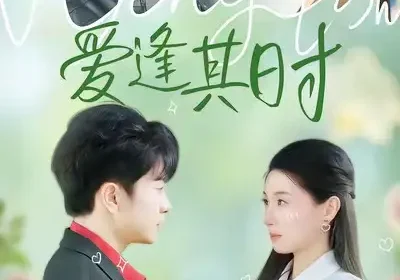 爱逢其时（47集）谯琳＆刘昊雨海报