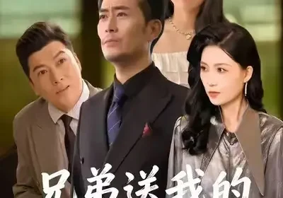 兄弟送我的治病良方（43集）杨凌&张悦海报