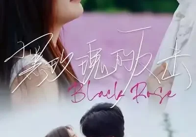 黑玫瑰的反击（47集）裘哲夫＆焦娇海报