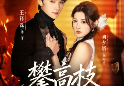 攀高枝（70集）王译磊＆刘夕语海报