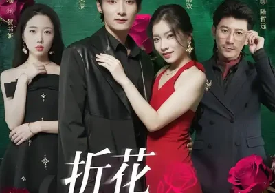 折花枝上开（51集）唐龙灿＆柏叶海报