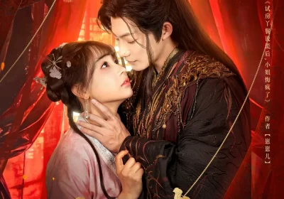 婢上青云（60集）康讯＆李田园海报