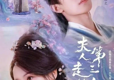 夫人走的第三年（72集）刘念&张翅海报