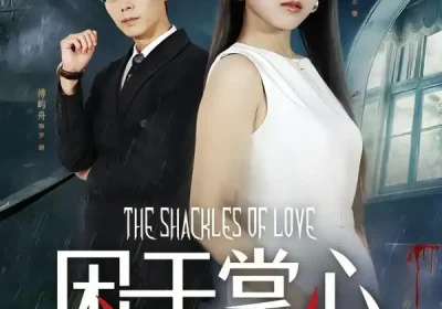 困于掌心（68集）左馨&罗鹏海报