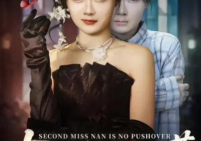 南二小姐不好惹（65集）聂基坤＆林鹿海报