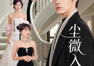 尘微入qing云（70集海报