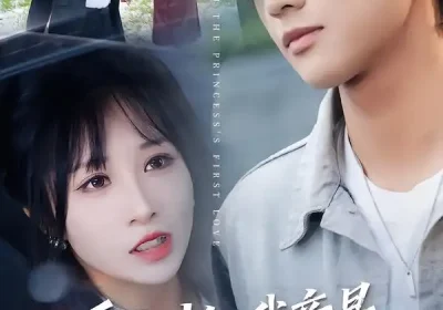 重生才知我竟是京圈大小姐白月光（80集）卞菁海报