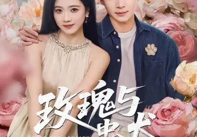 玫瑰与忠犬（80集）范高坡＆雯婕海报