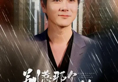 别惹那个刚出狱的（68集）刘林$李姿纬$安欣海报