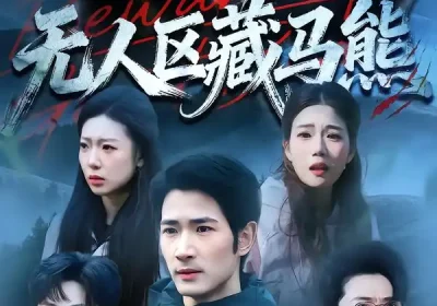 无人区藏马熊（99集）何俊雄＆林声海报
