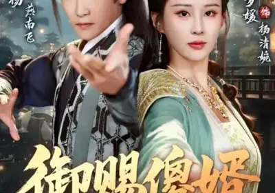 御赐S婿（81集）高杨$李梦媛海报