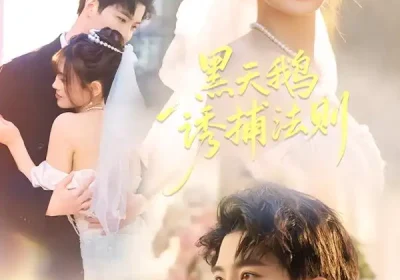 黑天鹅诱捕法册（80集）魏子翔＆王新颖海报