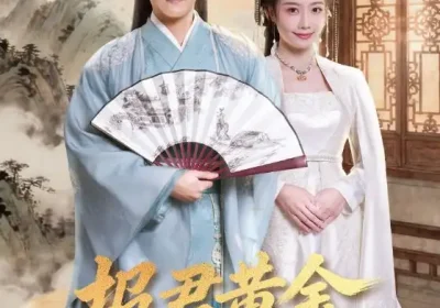 报君黄金台上意（100集）龙政璇$张元帅海报