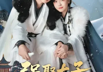 强娶太子做夫君（67集）王宇威＆王云云海报