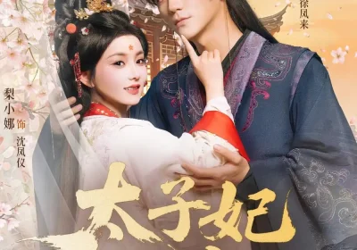 太子妃天亮了（80集）安子杨＆梨小娜海报