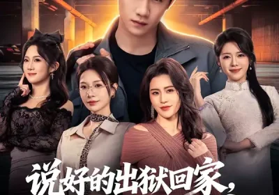 说好的出狱回家，怎么逼我延续香火（72集）钟小金＆童羿琅海报