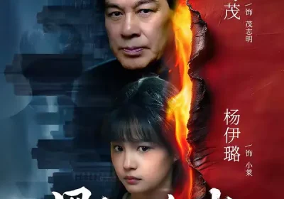 黑色焰火（41集）朱时茂＆杨伊璐海报