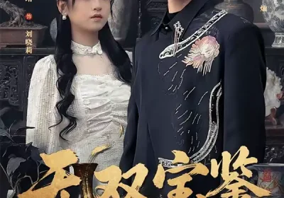 无双宝鉴（80集）张小磊＆邓靖海报