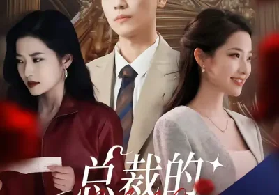 总裁的双生妻（76集）段柒萱＆杰士鸣海报