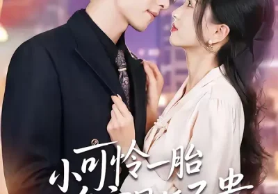 小可怜一胎多宝母凭子贵（60集）刘玉姣＆陆路海报
