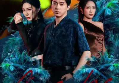 边境逃亡：从猪仔到地下国王（81集）刘洋珂$刘星辰海报