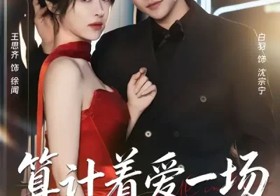算计着爱一场（81集）白羽＆王思齐海报