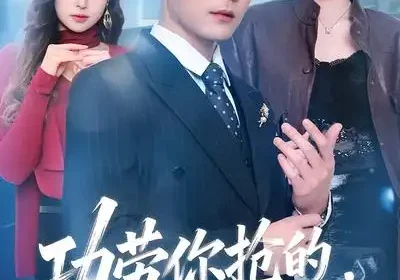 功劳你抢的，出事找我干什么（50集）佳琪$季康海报