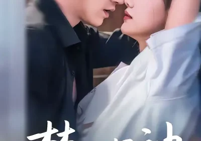 禁欲男神的心尖宠妻（67集）赵杰＆仇乐瑶海报