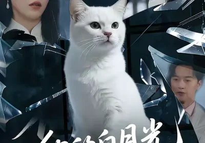 他的白月光是只猫（69集）陈家豪＆葛晓希海报
